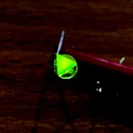 IMG_4595D_kl.jpg