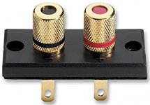 Isolated Speaker Terminals.jpg
