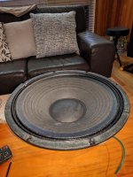 Phonic woofer 7.jpg