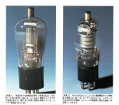 E355DB19-73C7-4DAF-B431-393DD890B310.JPG