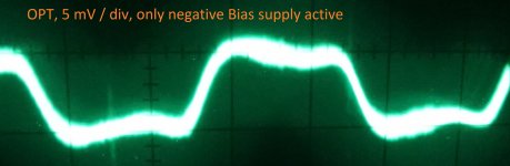 OPT only bias.jpg