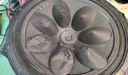 IMG_20200423_130431.jpg