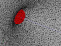 throat-mesh.PNG