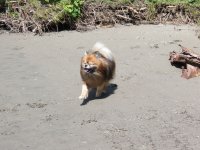 IMG_0597.jpg