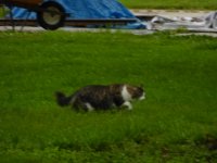 P1010033_x.jpg