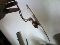 IMG_20200707_151059.jpg