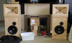 Synergy horn with cabinet (3).jpg