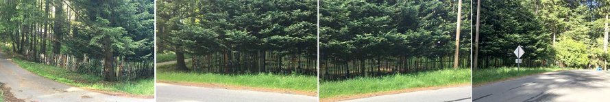 SkiFence.jpg