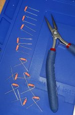 20200725_112840 Takman R prep.jpg