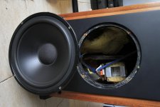 Woofer 1.jpg Woofer 1.jpg