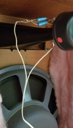 Oxford horn capacitor 1.jpg