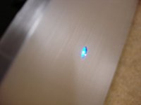 lily2.jpg