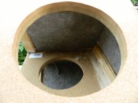 DSCN0742.jpg