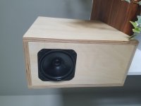 NSB speaker 2 (Medium).jpg