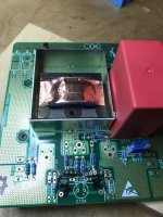 Edcor with Teko Shield and Copper Belly Band.jpg