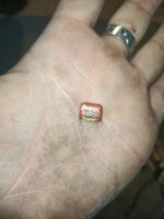 IMG20200720164153.jpg