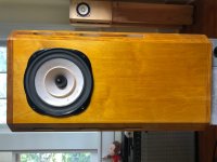 image11.jpeg