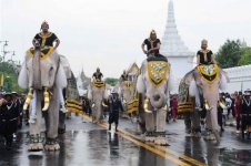 Elephant Parade.jpg