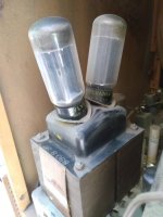 IMG_20200712_113234676.jpg