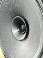 IMG_20200825_173014_533.jpg