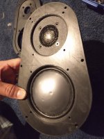 IMG_20200825_204253584.jpg