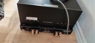Audio Research D160 back.jpg