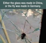 1B9E8A5F-AD79-4AF9-8AEA-27F64B74D64A.jpeg