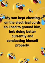 elec_joke.jpg