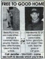 cats.jpg
