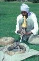 snakecharmer.jpg