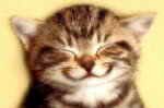 catsmile.jpg
