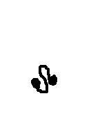 desing on side.jpg