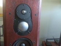 20200724_094831.jpg