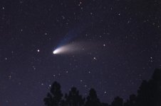 Comet Hale-Bopp.jpg