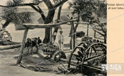mev-10923050.jpg