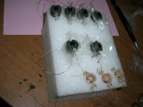 coils.jpg