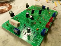 lm1875 diy.JPG