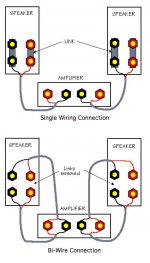 Bi or Single Wiring.jpg