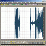 DogDuet-2020-42.gif