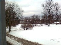 steve 2010 040.jpg