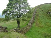DSC02010.jpg