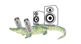 crocki.PNG
