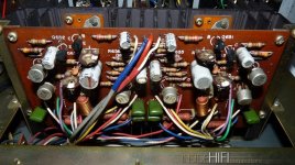 nikko amp web.jpg