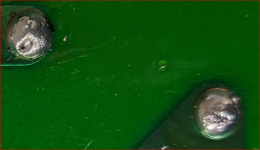 Solder Messes.PNG