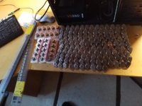 20201008_181128.jpg