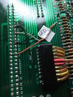 IMG_1526-compressed.jpg IMG_1526-compressed.jpg