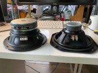 IMG_0924.jpeg