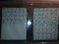 20201017_140734.jpg