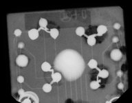 X00698_2.jpg