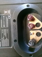 IMG_20201027_105300.jpg